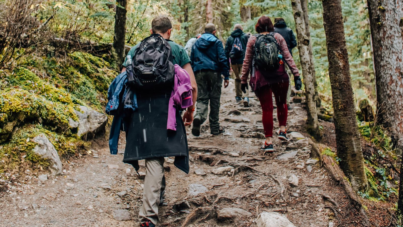 group of people walking together in the woods