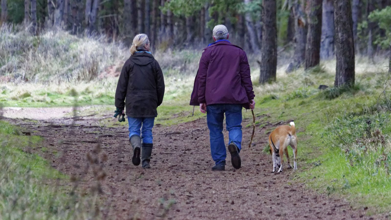 couple walking a dog